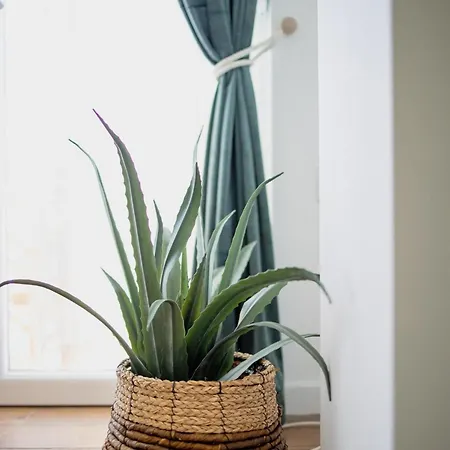 Valentini's Uptown Flat فولوس